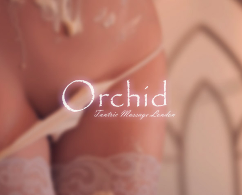 Orchid Sensual Massage types...